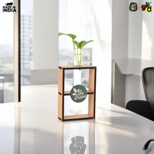 Eco-Friendly Test Tube Planter | Wooden MDF Stand | Indoor Desk Décor & Gifting