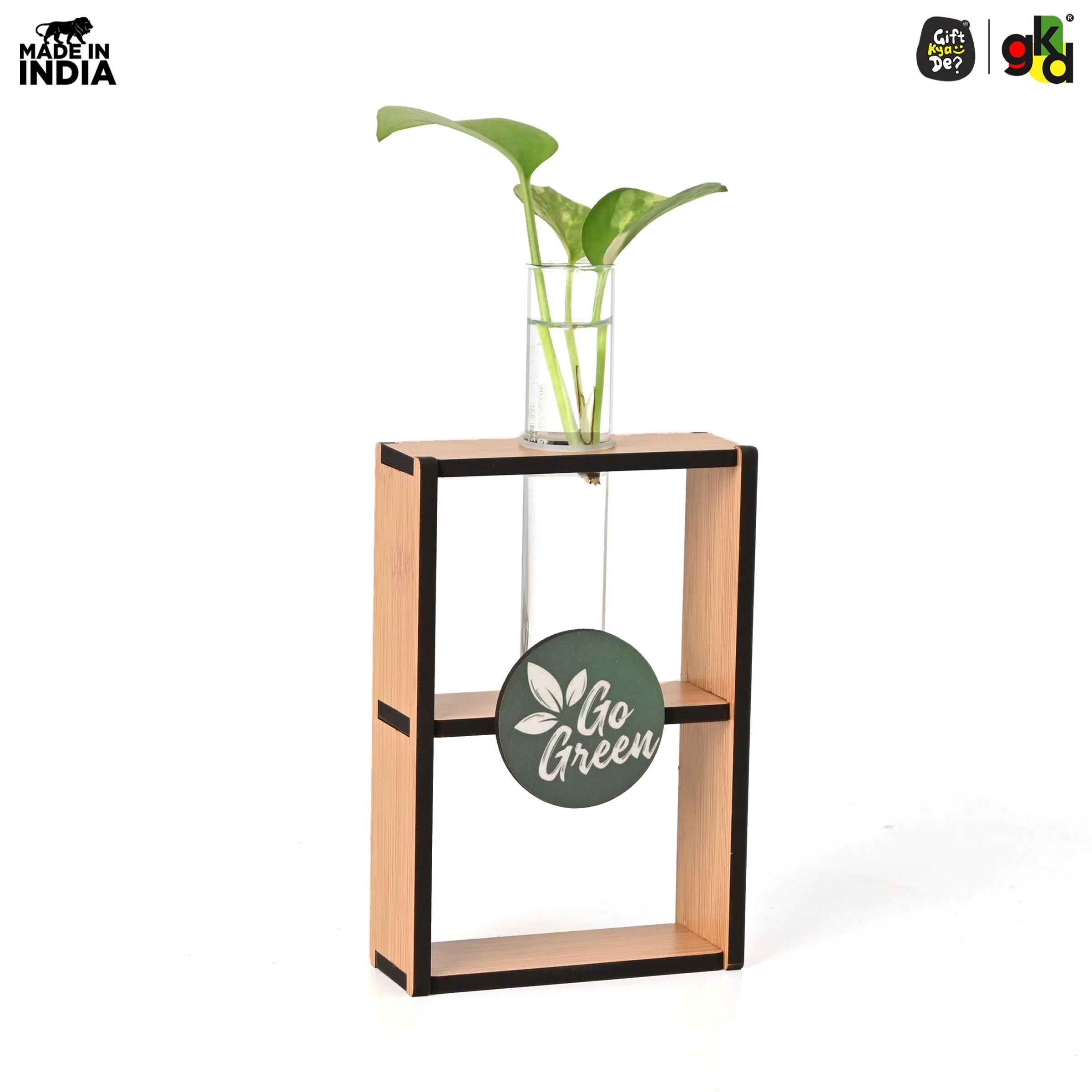 Eco-Friendly Test Tube Planter | Wooden MDF Stand | Indoor Desk Décor & Gifting